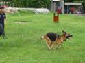 20130818jw_dog_training_P1140165