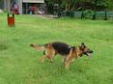 20130818jw_dog_training_P1140167