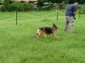 20130818jw_dog_training_P1140174