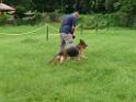 20130818jw_dog_training_P1140176