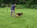 20130818jw_dog_training_P1140177