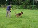 20130818jw_dog_training_P1140178