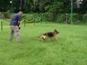 20130818jw_dog_training_P1140179