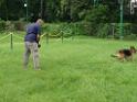 20130818jw_dog_training_P1140182