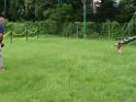 20130818jw_dog_training_P1140187