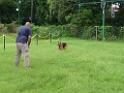 20130818jw_dog_training_P1140189