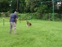 20130818jw_dog_training_P1140190