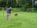 20130818jw_dog_training_P1140191