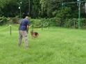 20130818jw_dog_training_P1140192