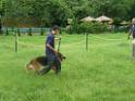 20130818jw_dog_training_P1140199