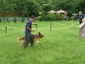 20130818jw_dog_training_P1140200