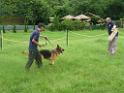 20130818jw_dog_training_P1140201