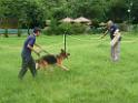 20130818jw_dog_training_P1140202