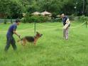 20130818jw_dog_training_P1140203