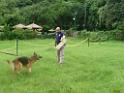 20130818jw_dog_training_P1140206