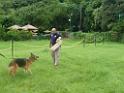 20130818jw_dog_training_P1140207