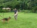 20130818jw_dog_training_P1140208