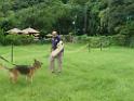 20130818jw_dog_training_P1140209