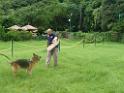 20130818jw_dog_training_P1140210