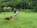 20130818jw_dog_training_P1140211