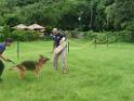 20130818jw_dog_training_P1140212