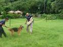 20130818jw_dog_training_P1140213