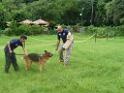 20130818jw_dog_training_P1140215