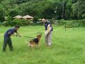 20130818jw_dog_training_P1140220