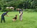 20130818jw_dog_training_P1140221