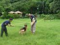 20130818jw_dog_training_P1140222