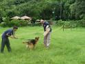 20130818jw_dog_training_P1140223