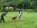 20130818jw_dog_training_P1140224