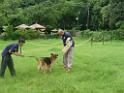 20130818jw_dog_training_P1140225