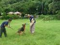 20130818jw_dog_training_P1140227