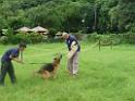 20130818jw_dog_training_P1140229