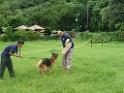 20130818jw_dog_training_P1140231