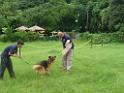 20130818jw_dog_training_P1140235