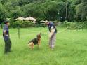 20130818jw_dog_training_P1140238