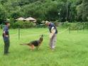 20130818jw_dog_training_P1140239