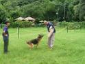 20130818jw_dog_training_P1140240