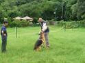 20130818jw_dog_training_P1140241