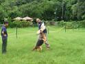 20130818jw_dog_training_P1140242