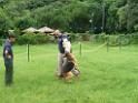 20130818jw_dog_training_P1140243