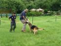 20130818jw_dog_training_P1140245