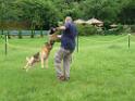 20130818jw_dog_training_P1140252