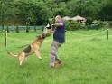 20130818jw_dog_training_P1140253