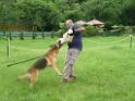 20130818jw_dog_training_P1140254