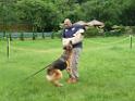 20130818jw_dog_training_P1140255