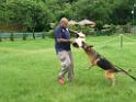 20130818jw_dog_training_P1140258