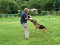 20130818jw_dog_training_P1140259